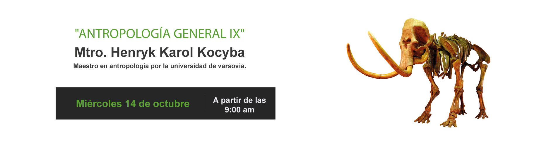TELEVISIÓN OBJETIVA
